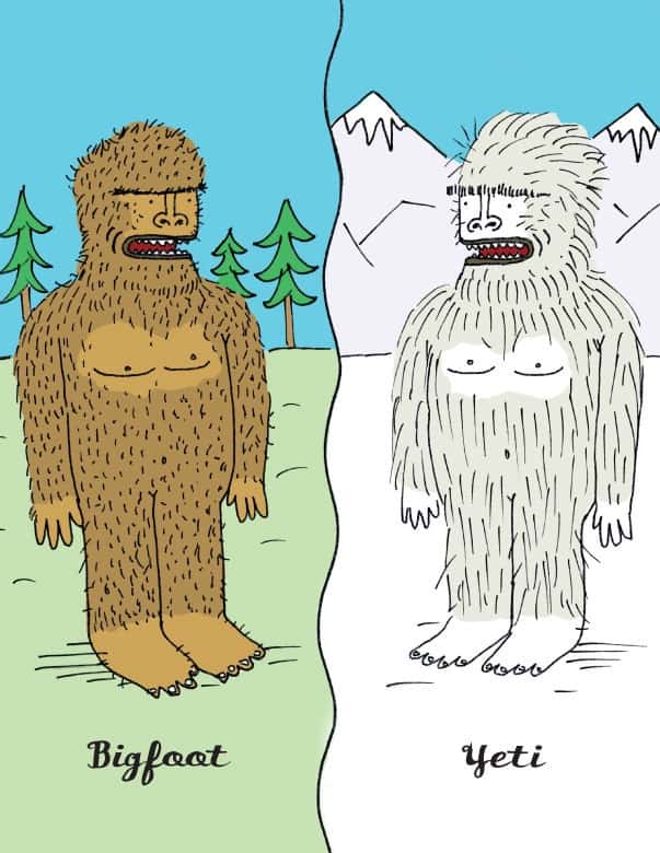 Bigfoot & Yeti - Strange Uncle