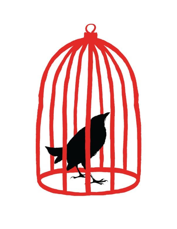 Bird In Red Cage - Strange Uncle