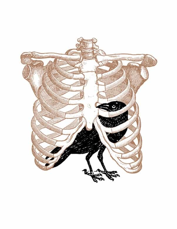 Bird Rib Cage - Strange Uncle