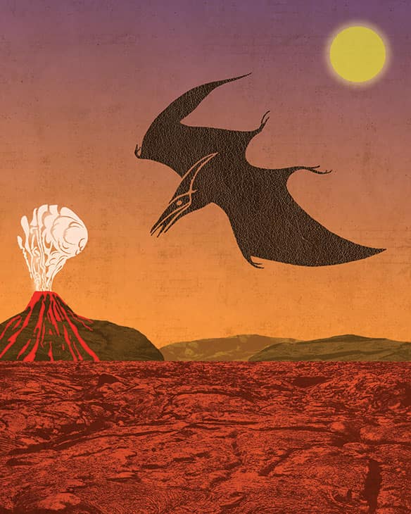 Pterodactyl over Volcano - Strange Uncle