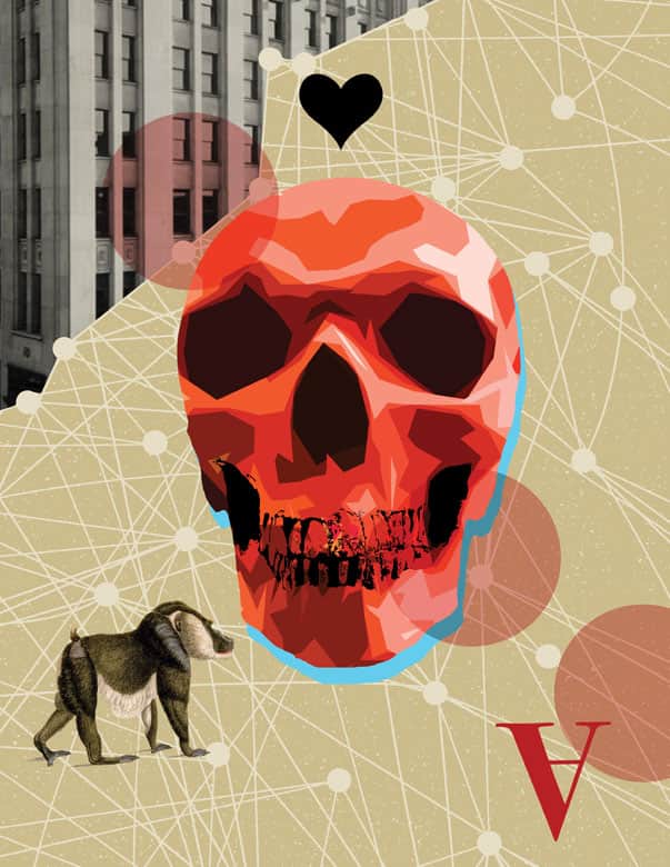 Skull Baboon Collage - Strange Uncle